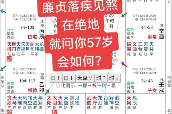 大限紫薇斗数吧