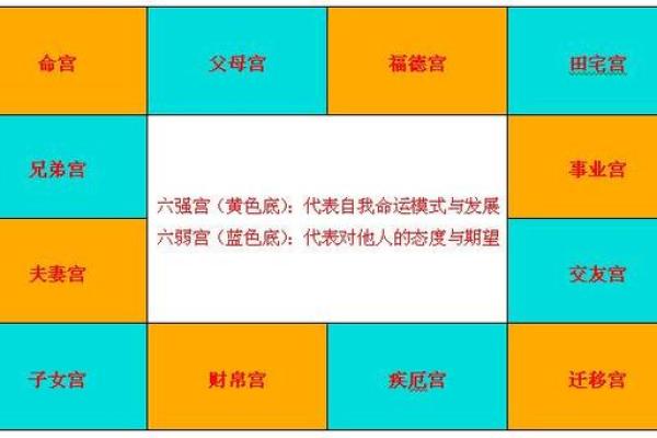 如何学习紫薇星盘