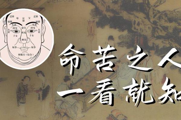 命苦八字