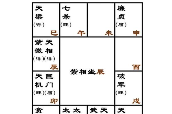 紫薇与斗数
