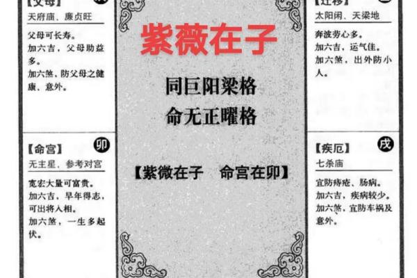 紫薇斗数全书4