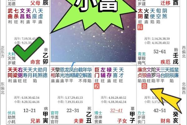 紫薇斗数全书4