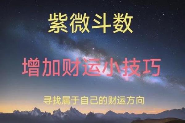 紫薇斗数小流连