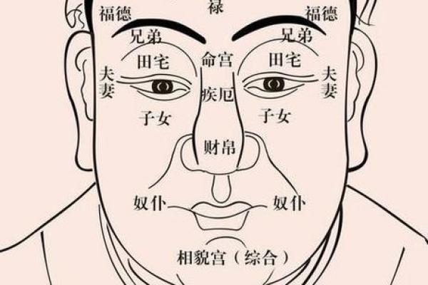 风水面相嫁给鹰钩鼻男人的下场会幸福吗