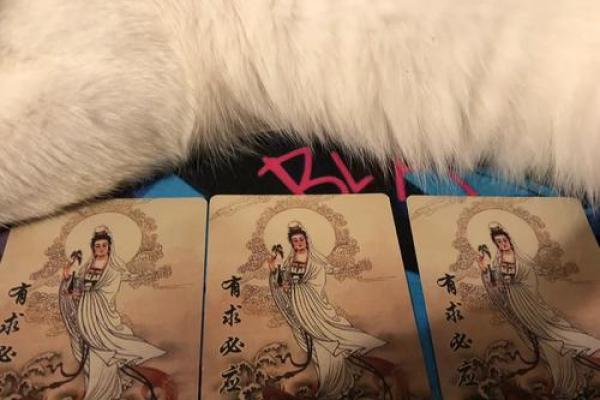 观音灵签18求工作结果