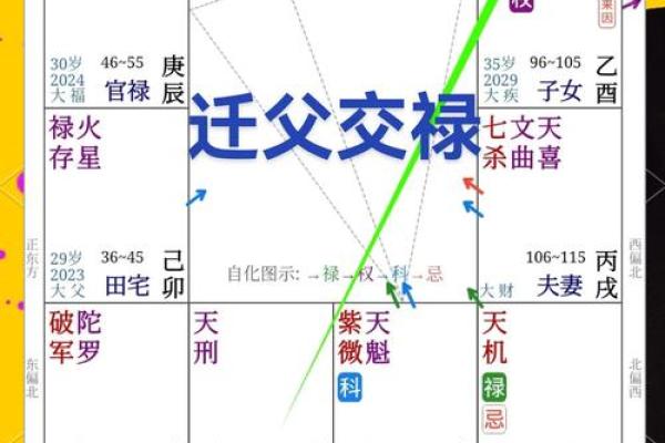 紫微斗数财运,紫微斗数财富分析