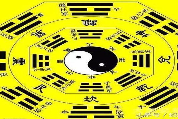 考场算命