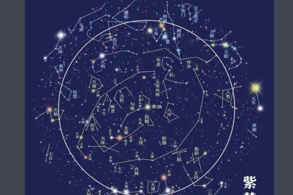 紫薇斗数看存款