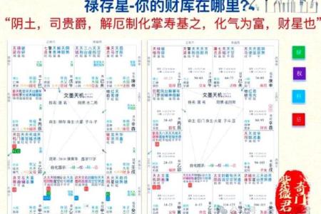 紫薇斗数看财富层次