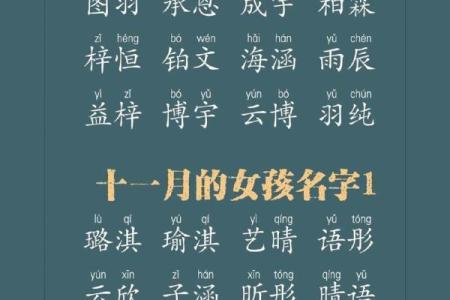 2019年3月23号酉时出生的男孩如何起名姓名