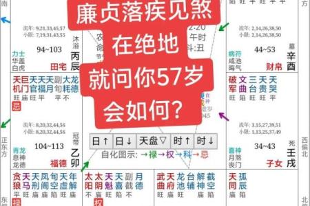 大限紫薇斗数吧
