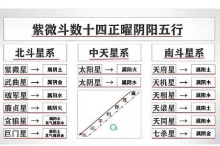 紫薇斗数流年学历