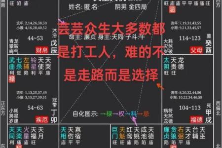 如何学习紫薇星盘