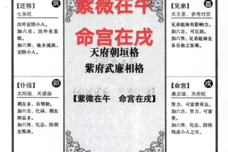 紫薇与斗数