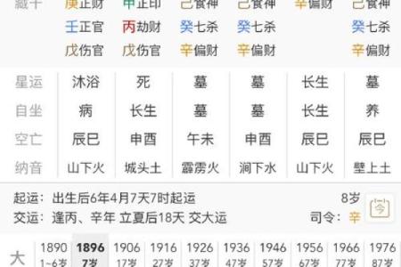 大师生辰八字取名，百度免费取名，最准取名