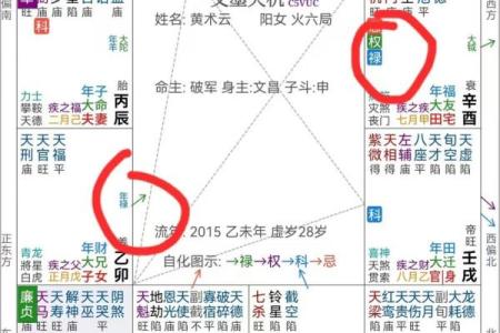 紫薇斗数运财