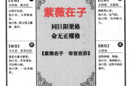 紫薇斗数全书4