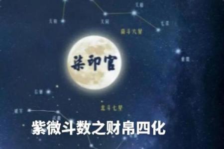 紫薇斗数财昂