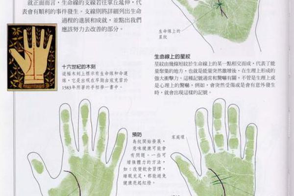 生命线算命：手掌上的玄机真能预测你的命运？