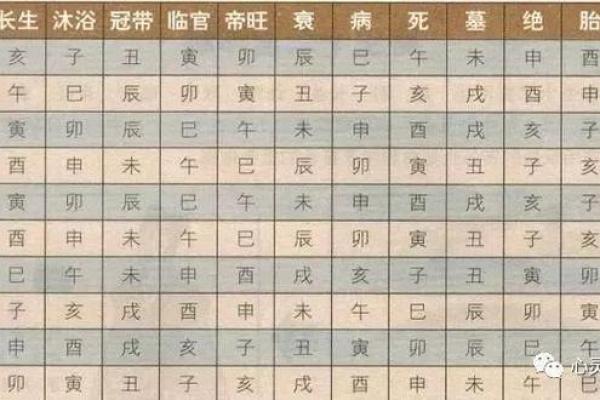 如何八字看