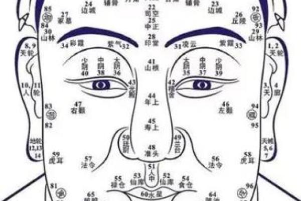 眼相算命图解大全