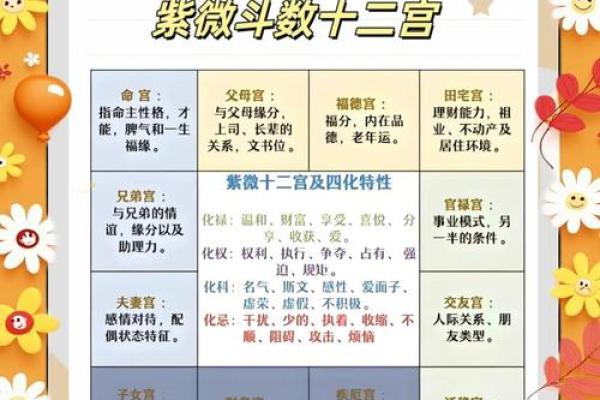 紫薇斗数会照什么意思