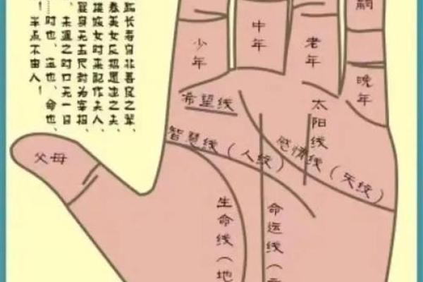 算命自学哪里更好学