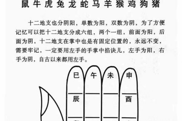 算命自学哪里更好学