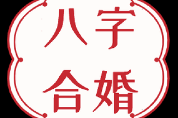 八字合盘