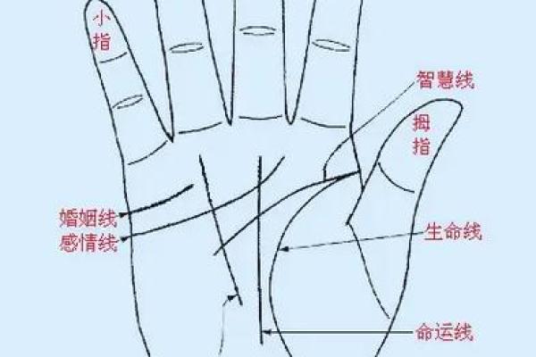 手纹线看相 手纹看相算命图解