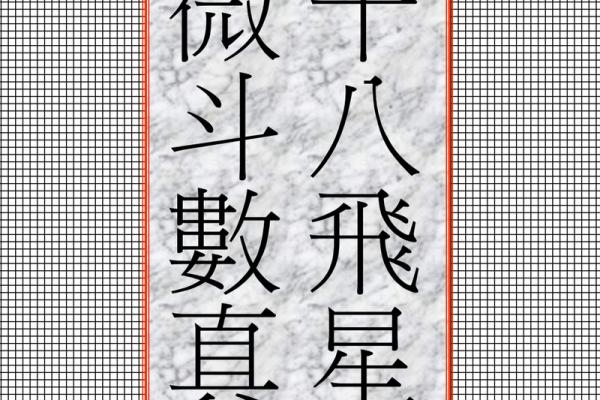 飞星紫薇斗数下载