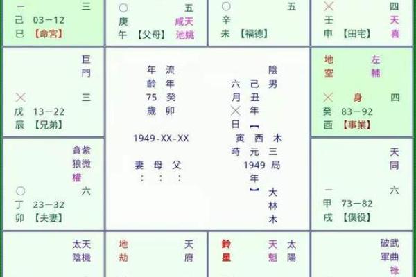 紫薇斗数的身主是什么