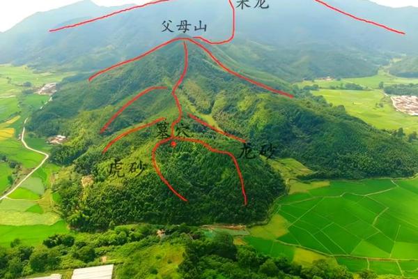 最发人丁的坟地风水