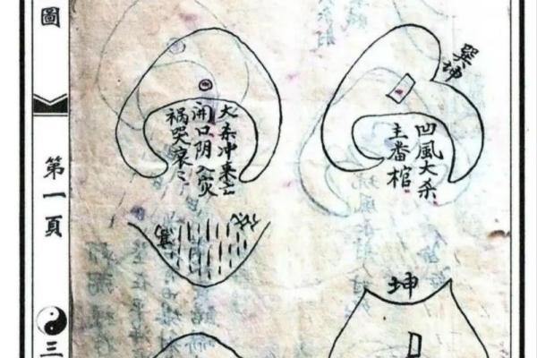 姓叶的名人-姓名学-华易算命网姓名