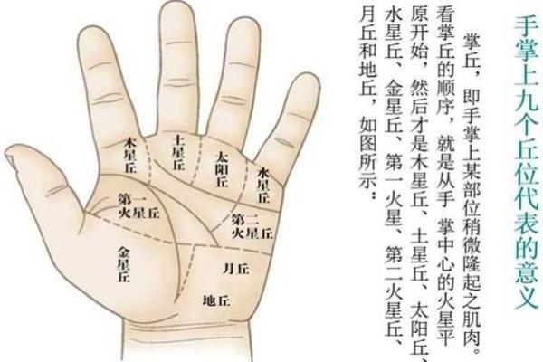 女人手相算命图解：嫁得好的手相