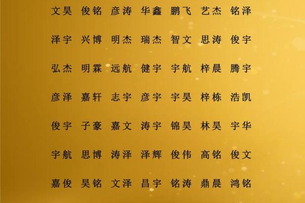2019年6月3号寅时出生的男孩应该起什么样的名字姓名
