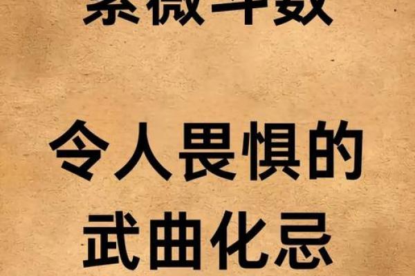 紫薇斗数中天才