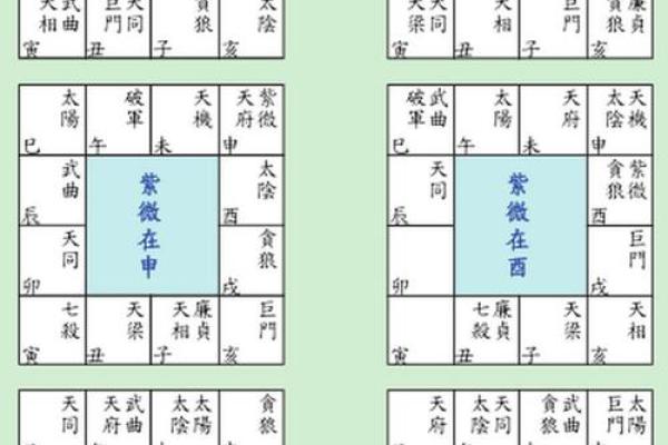 怎么解紫薇斗数