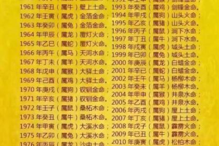 生辰八字排盘网站哪个好