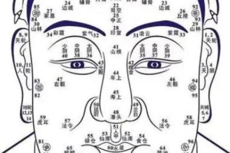眼相算命图解大全