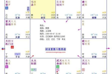 紫薇斗数星宿详解