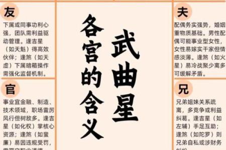 紫薇斗数会照什么意思