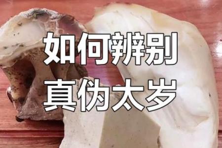 紫薇斗数太岁怎么看