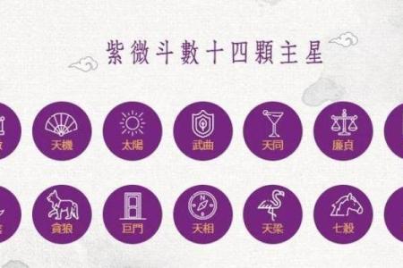 紫薇斗数星系组合