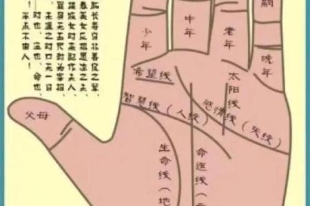 算命自学哪里更好学
