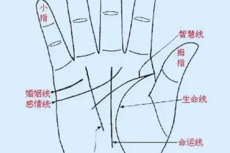 手纹线看相 手纹看相算命图解