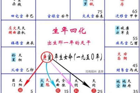 紫薇斗数名词