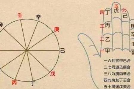 八字算命甲戊是什么意思