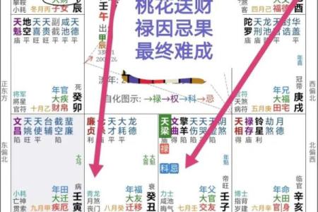 飞星紫薇斗数下载