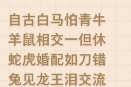 算命说没有婚配之说